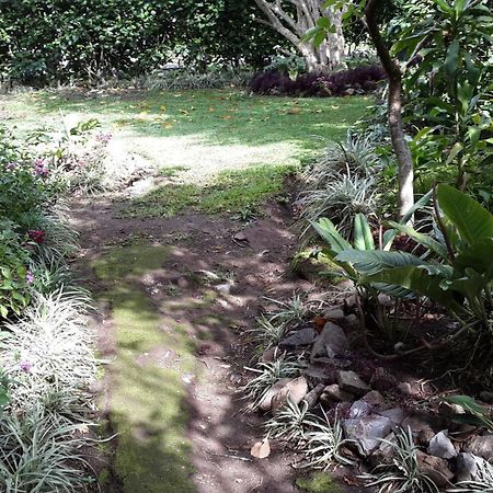 Hotel Las Orquideas Monteverde Екстериор снимка