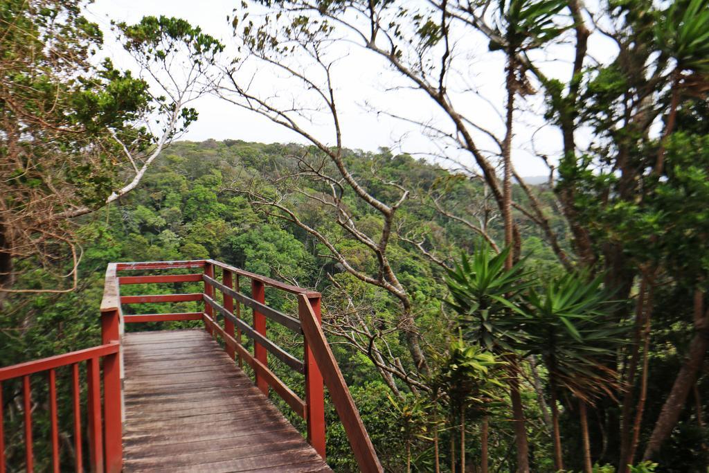 Hotel Las Orquideas Monteverde Екстериор снимка