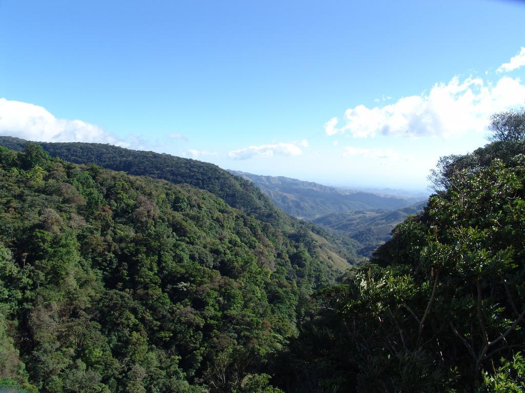 Hotel Las Orquideas Monteverde Екстериор снимка