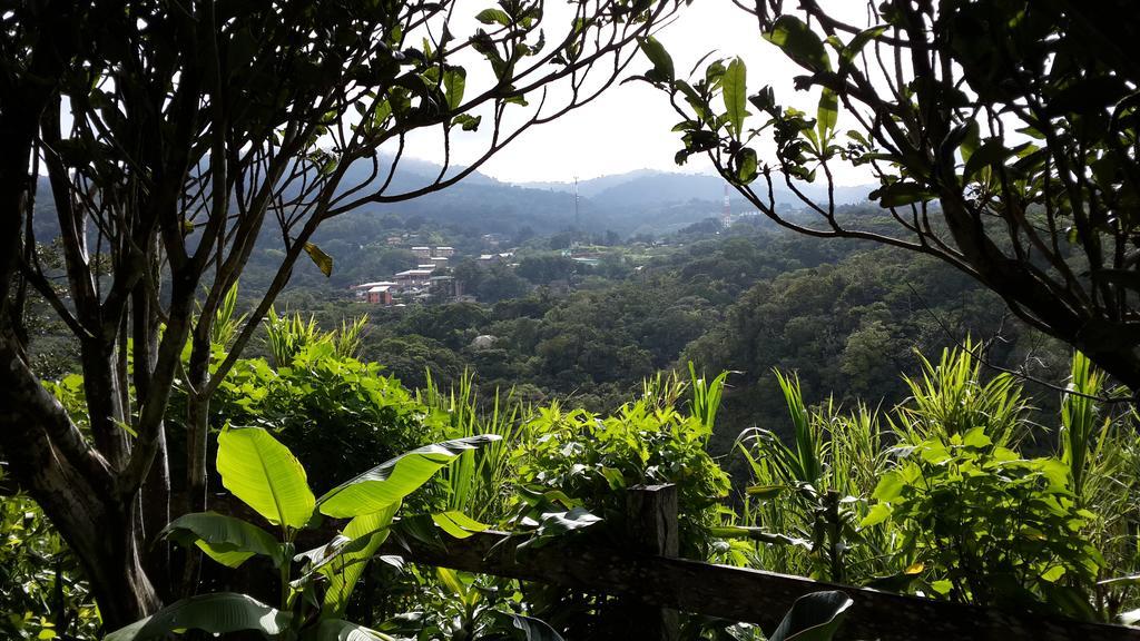 Hotel Las Orquideas Monteverde Екстериор снимка