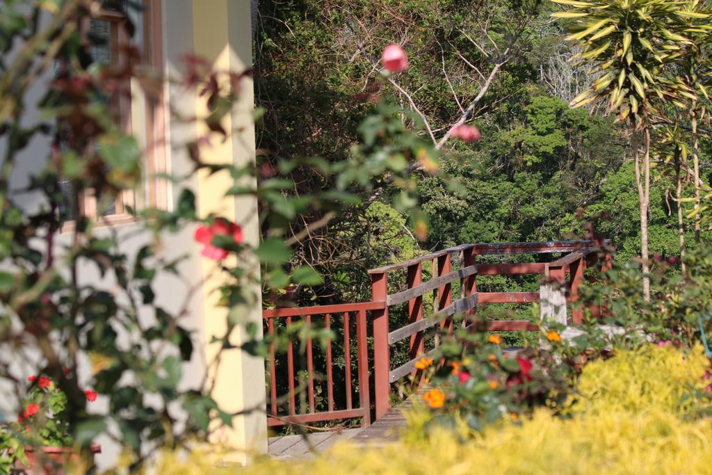 Hotel Las Orquideas Monteverde Екстериор снимка