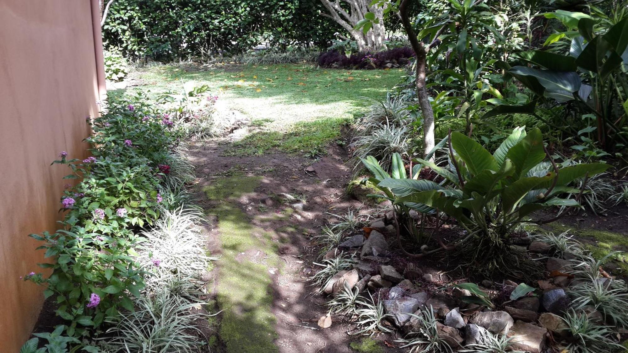 Hotel Las Orquideas Monteverde Екстериор снимка
