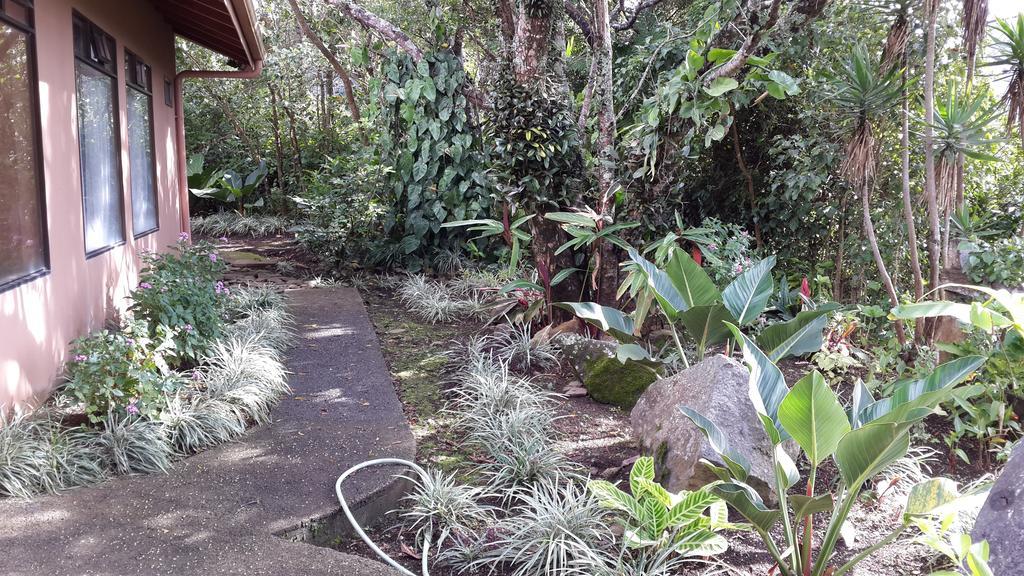 Hotel Las Orquideas Monteverde Екстериор снимка